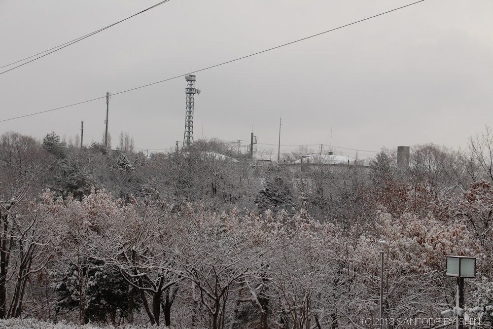 仙台での初雪の景色