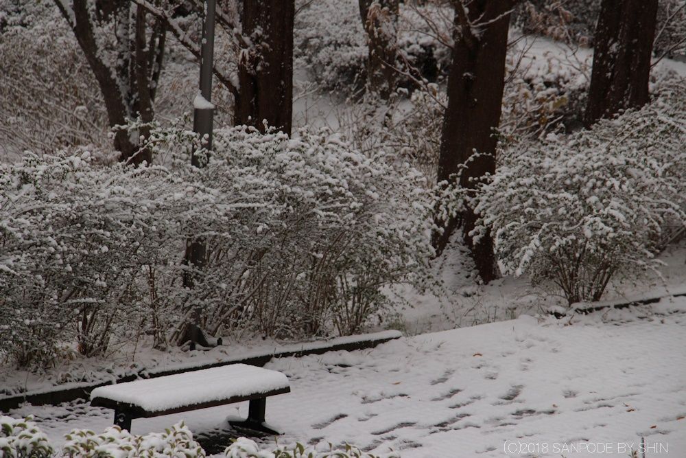 仙台での初雪の景色