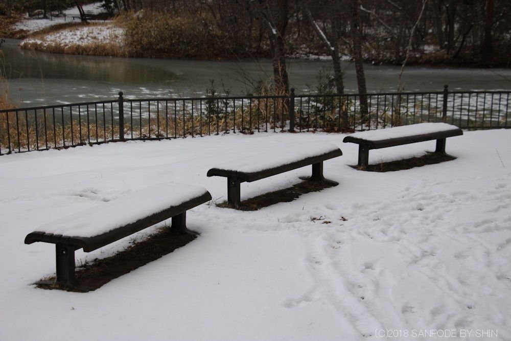 雪が積もった木製のベンチ