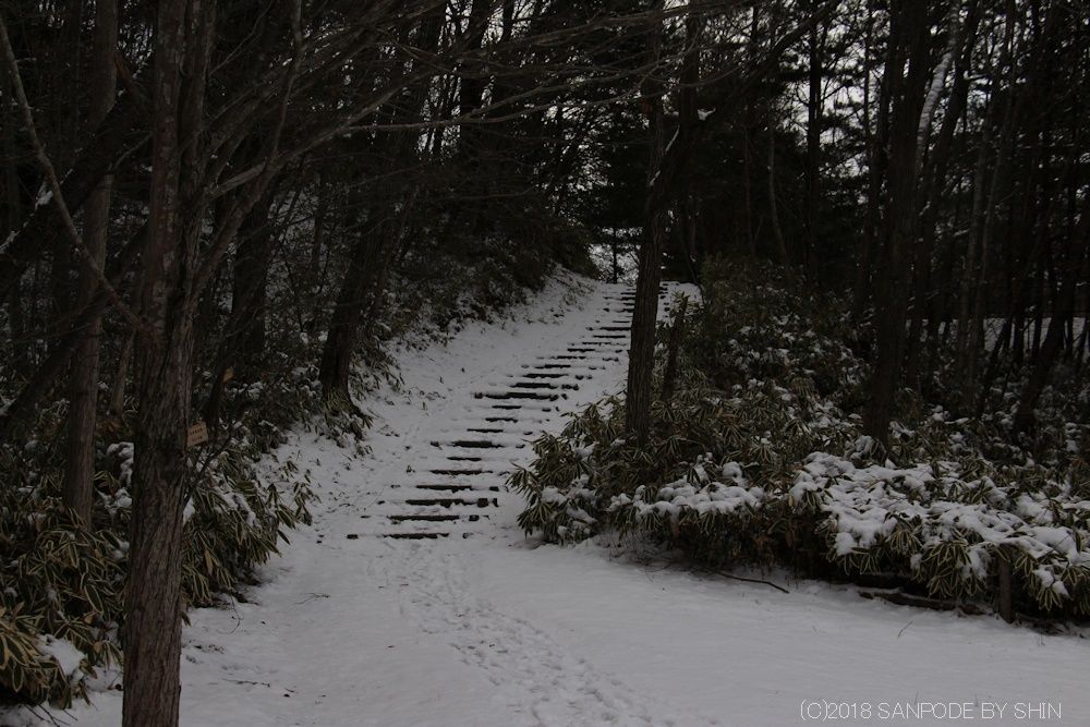 雪が積もっている擬木階段